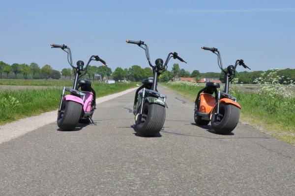 <p>E-Chopper en Borrelarrangement<br></p>